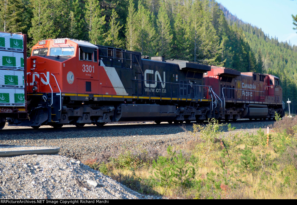 CN 3301